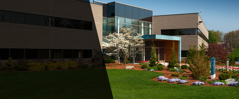 Reeds Spring Landscapers